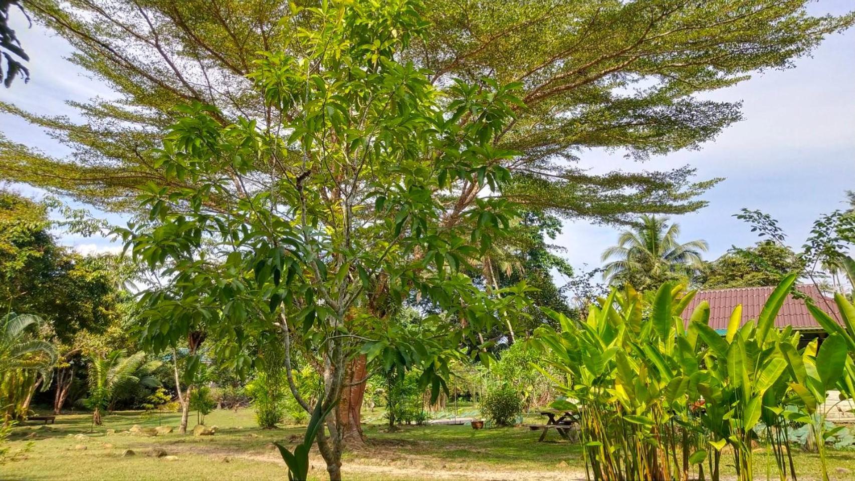 Baan Bua Cottage SHA EXTRA PLUS B5510 Ko Kut Bagian luar foto