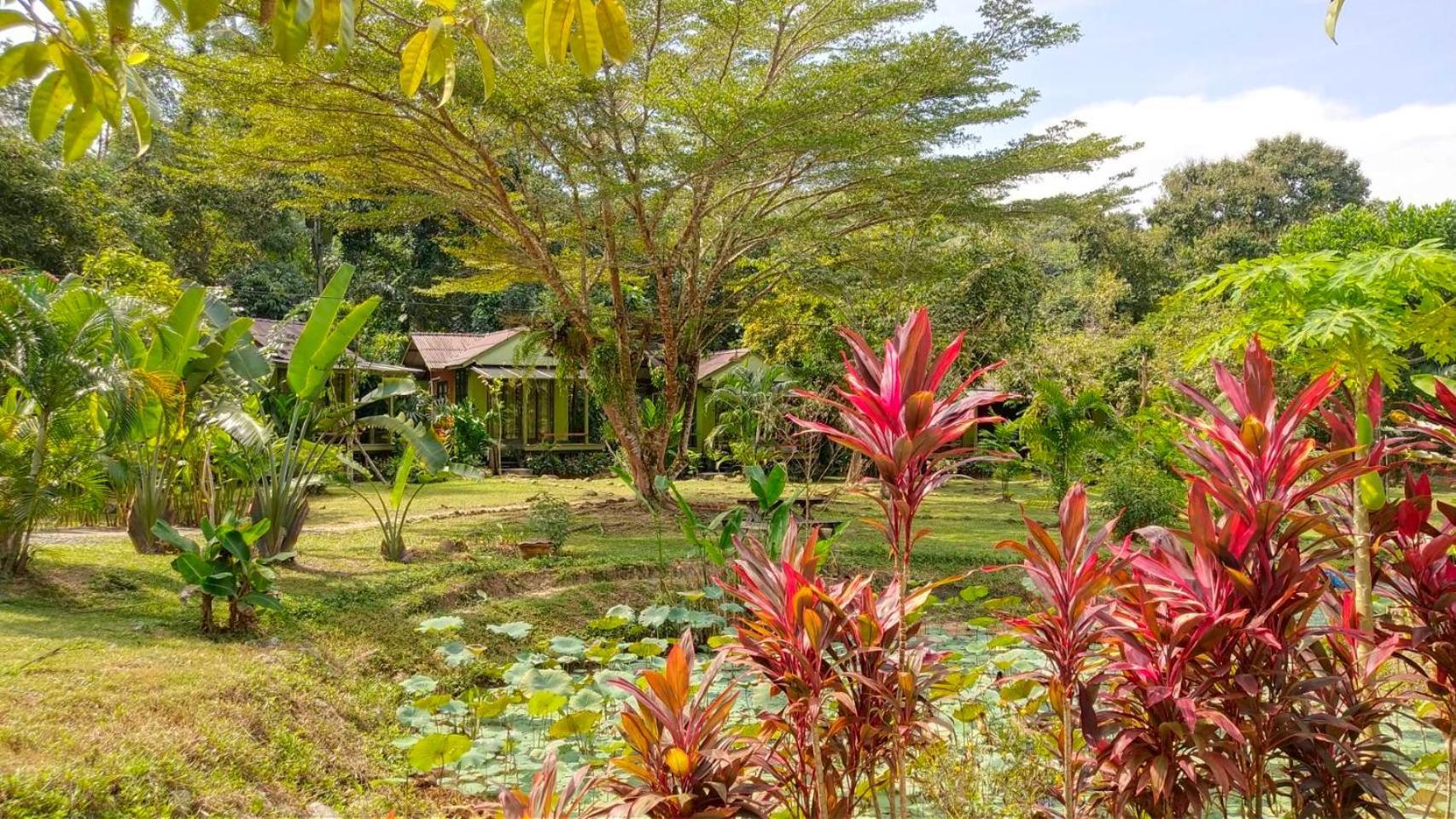 Baan Bua Cottage SHA EXTRA PLUS B5510 Ko Kut Bagian luar foto