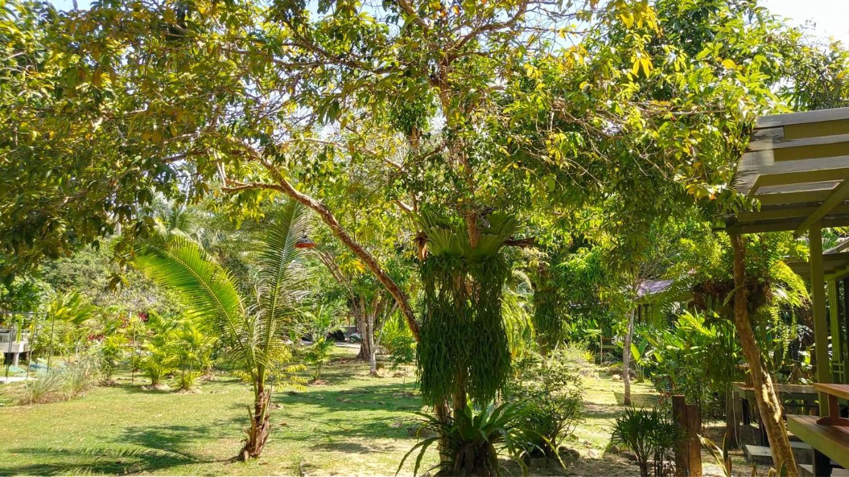 Baan Bua Cottage SHA EXTRA PLUS B5510 Ko Kut Bagian luar foto